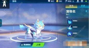 飞车最新爆料宠物,萌宠助力，畅游速度与激情世界  第1张